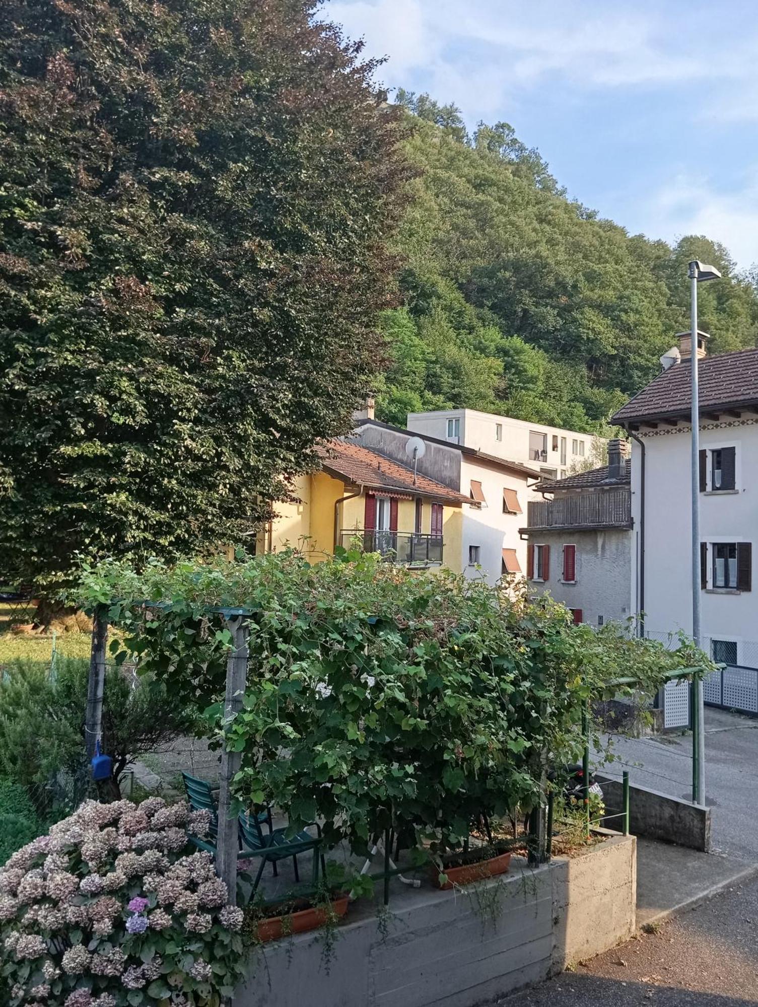 Minicasa Villa Bellinzona Dış mekan fotoğraf