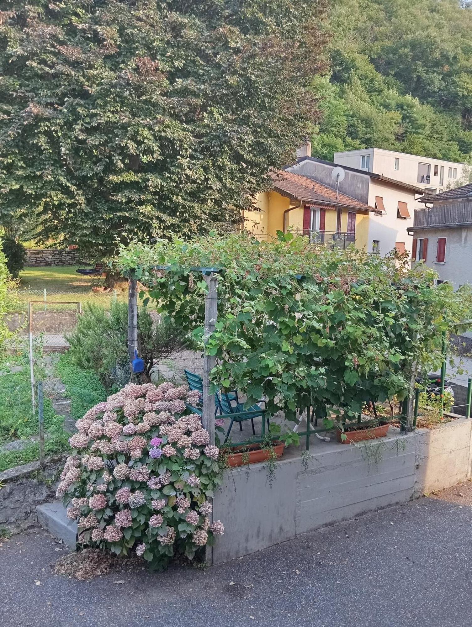 Minicasa Villa Bellinzona Dış mekan fotoğraf
